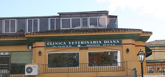 clinica_diana